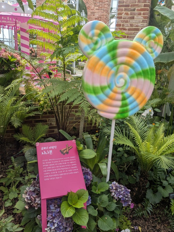 A big fabricated lollipop as part of a botanical display at Sejong National Arboretum in South Korea.