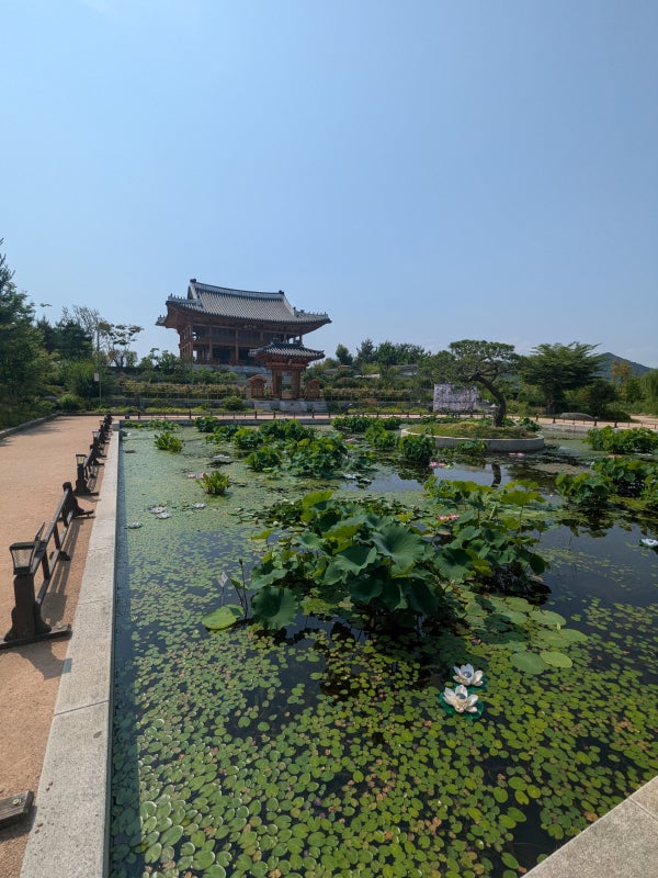 A traditional korean garden at Sejong National Arboretum, showcasing traditional Korean landscaping including hanok structures.