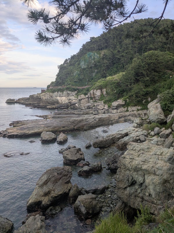 A coastal view in Busan, South Korea of green mountains and a rocky coast. 