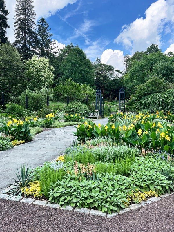 A flower garden with a paved path running through the middle filled with summer flowers on a sunny day. 