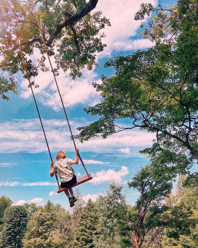 A young child from behind on a swing in a public garden surrounded by trees on a sunny day.