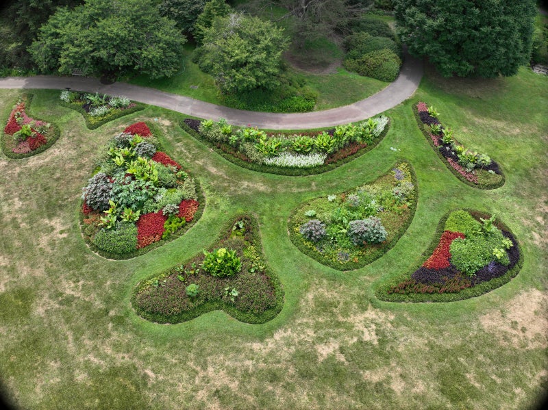 An aerial view of eight paisley-shaped garden beds.