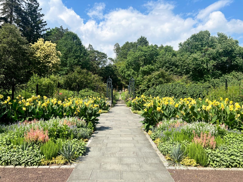 A garden divided into two flower beds with a paved path in the middle, filled with yellow, salmon, and blue flowers. 