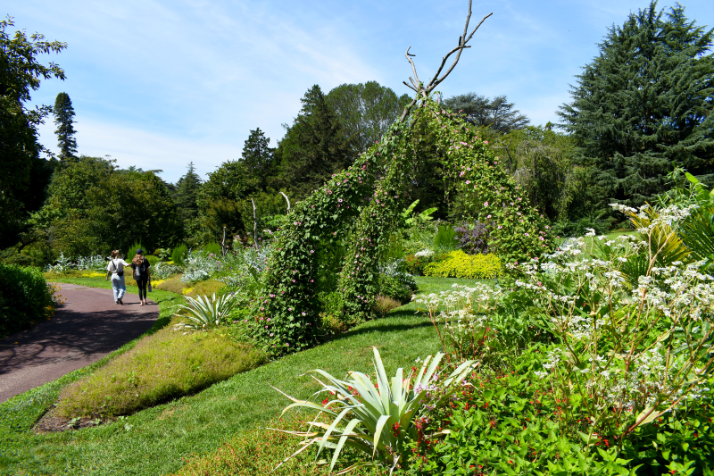 A garden in bloom with a large structure made of repurposed wood that acts as a trellis for flowering vines. Two people walk on a path to the left and admire. 