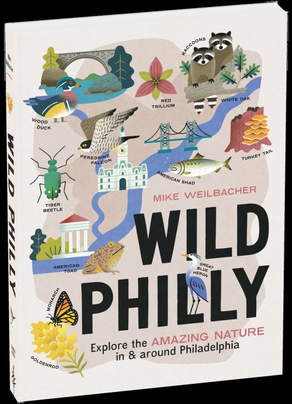 A book cover with illustrations of animals and sights around Philadelphia that's titled, "Wild Philly: Explore the AMAZING NATURE in & around Philadelphia" by Mike Weilbacher. 